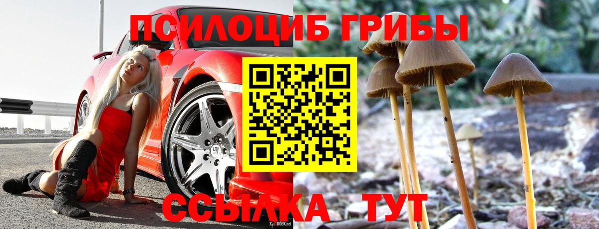 Меф   Лесной  Каннабис  Вход с VPN  Гашиш  Кокаин 