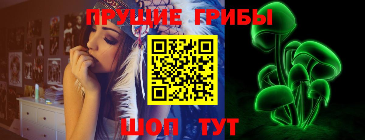 Галлюциногенные грибы ЛСД  Вход с VPN  Лесной 